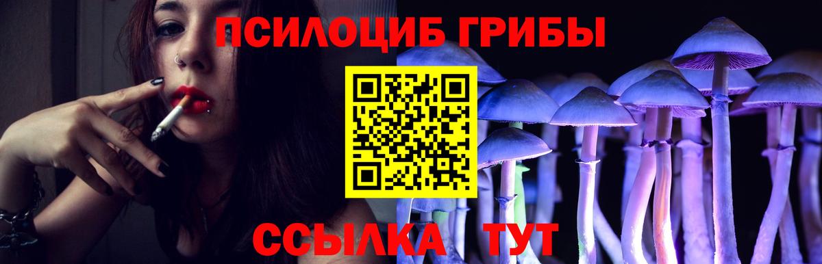 Псилоцибиновые грибы MAGIC MUSHROOMS  Вход с VPN  Минусинск 